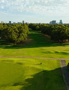 18 hole